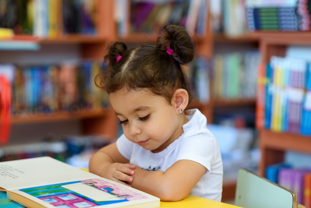 Top Reading Programs For Preschoolers